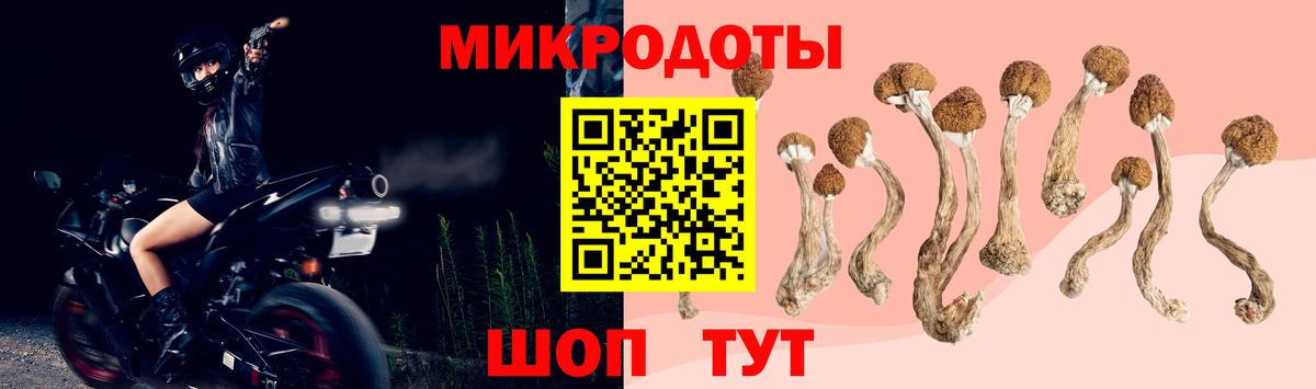 Кирово-Чепецк  купить   Вход с VPN  Псилоцибиновые грибы Psilocybine cubensis 